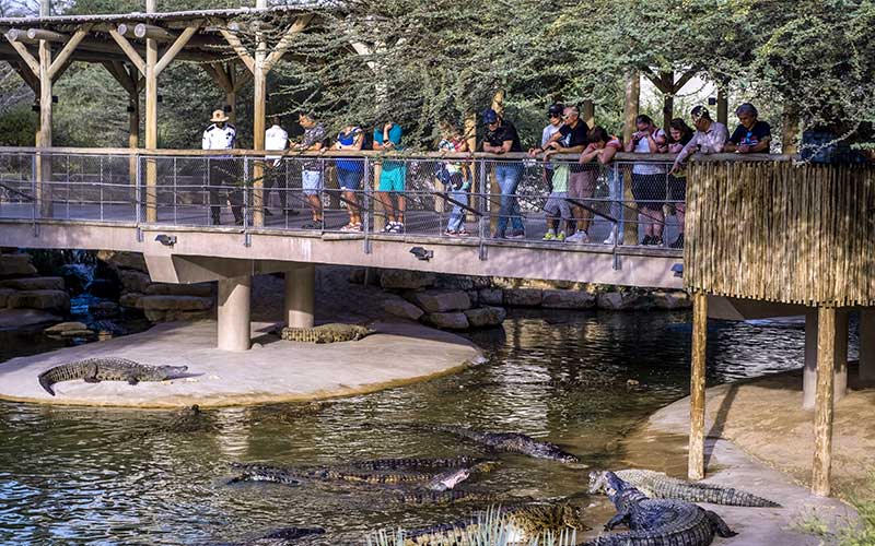 Dubai Crocodile Park