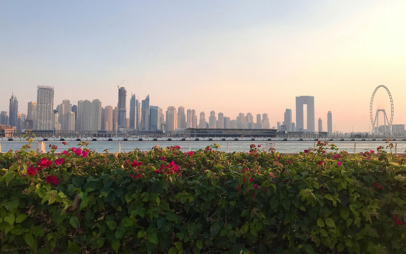 Dubai in Spring