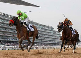 Dubai Racing Carnival