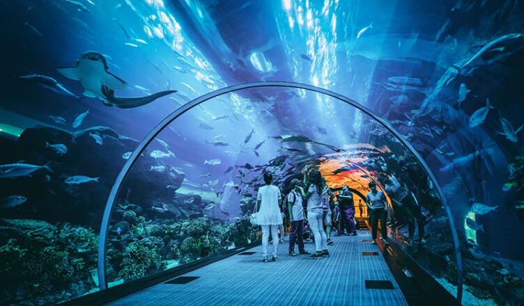 Dubai Aquarium