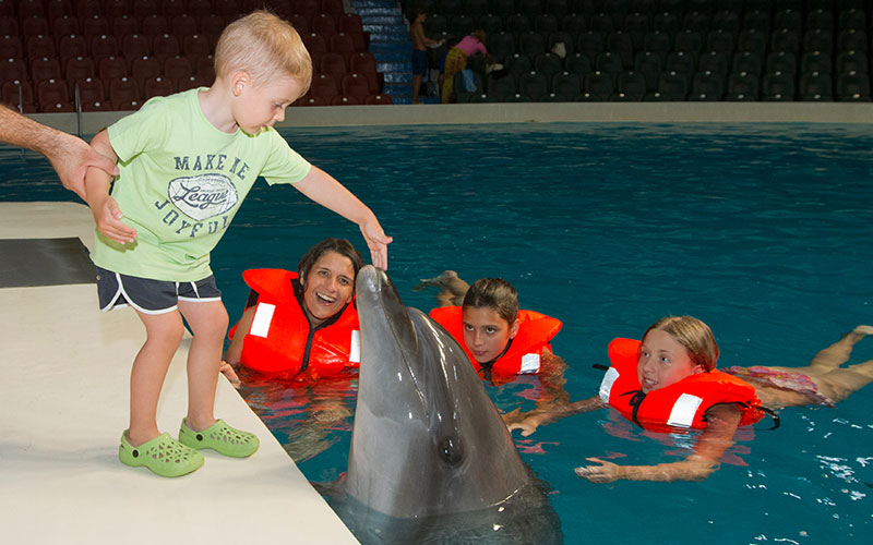 Dubai DolphinariumDubai Dolphinarium