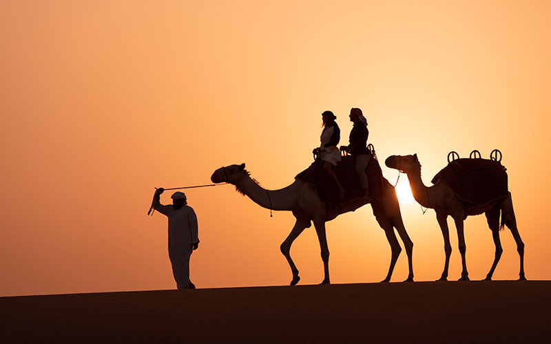 Evening Desert Safari